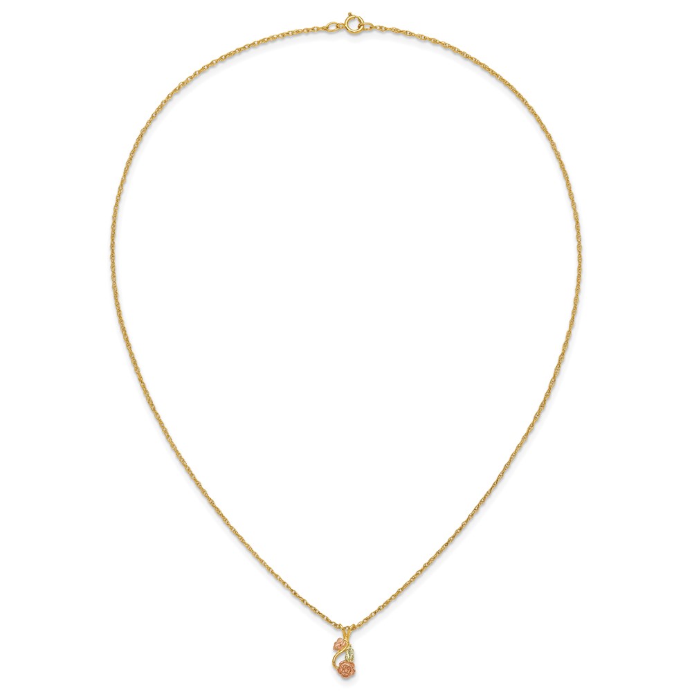 10K Tri-color w/14K Gold-filled Chain Black Hills Gold Necklace - Image 5