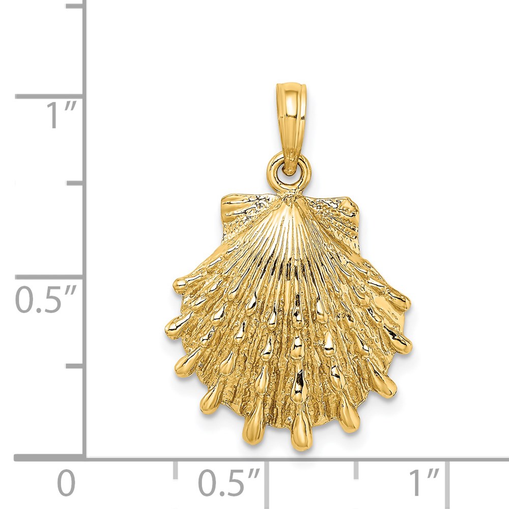 14K Lions Paw Shell Charm - Image 3