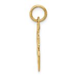 10k Good Luck Charm - Image 2