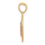 10k Two-tone with White Rhodium Our Lady of Guadalupe Pendant - Image 2