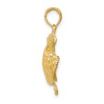10K Solid Polished Open-Backed Turtle Pendant - Image 2