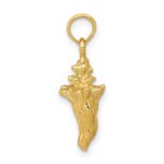 10k 3-D Conch Shell - Image 2