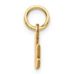 10K Satin NANA Charm - Image 2