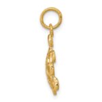 10k Turtle Charm - Image 2