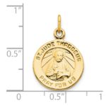 10K St. Jude Medal - Image 3