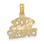 10K 100% CAPRICORN Zodiac Charm - Image 4