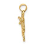 10K 2-D Textured Frog Charm - Image 2