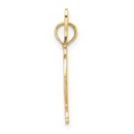10K Textured Horse Head and Shoe Charm - Image 2