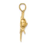 10K 2-D Male Dorado (Mahi-Mahi) Charm - Image 2
