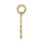 10K #1 PRINCESS Charm - Image 2