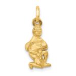 10k Aquarius Zodiac Charm