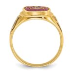IBGoodman 10k Men's Polished and Textured with Blue Enamel and Lab Created Ruby Blue Lodge Master Masonic Ring - Image 2