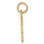 14k RN Registered Nurse Charm - Image 2