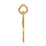 14k Diamond-cut Apple Charm - Image 2