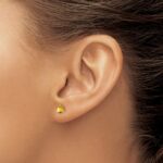 14k White Gold Round Citrine Earrings - Image 3