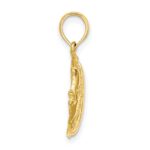 14K Polished  Textured Butterfly Fish Charm - Image 2