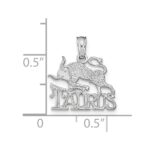 14k White Gold TAURUS Zodiac Charm - Image 2