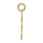 14k and White Rhodium Diamond-cut 3-Circle Charm - Image 2