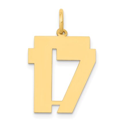 14k Medium Polished Number 17 Charm