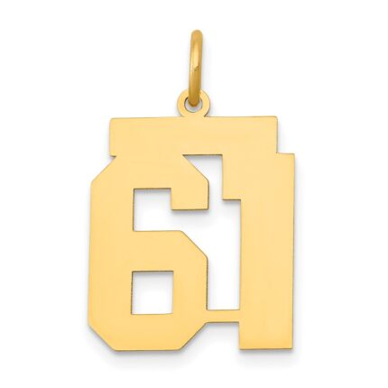 14k Medium Polished Number 61 Charm