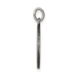 Sterling Silver Antiqued Saint Luke Medal - Image 2