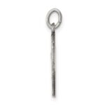 Sterling Silver Antiqued Saint Andrew Medal - Image 2