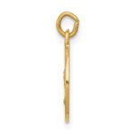 14k Polished and Satin Solid Saint Andrew Medal Charm - Image 2