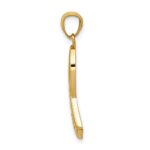 14k Polished SURVIVOR Awareness Ribbon Pendant - Image 2