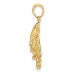 14K Lions Paw Shell Charm - Image 2