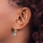 14k 6x4 Oval Bezel December/Blue Topaz Leverback Earrings - Image 3