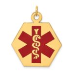 14k 22.5mm Hexagon Red Enameled Medical Jewelry Pendant