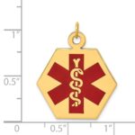 14k 22.5mm Hexagon Red Enameled Medical Jewelry Pendant - Image 3