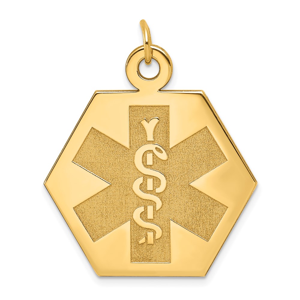 XM31N-1.jpg 14k 22.5mm Hexagon Non-enameled Medical Jewelry Pendant - Image 1