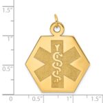 14k 22.5mm Hexagon Non-enameled Medical Jewelry Pendant - Image 3