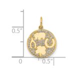 10K Polished CZ Good Luck Medallion Charm - Image 4