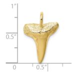 10K Shark Tooth Pendant - Image 3