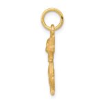 10k Tom Cat Charm - Image 2