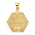 10k Enameled Medical Disc Pendant - Image 4