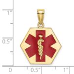 10k Enameled Medical Disc Pendant - Image 3