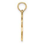 10K Dollar Sign Charm - Image 2