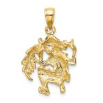 14k Large Aquarius Zodiac Charm - Image 4