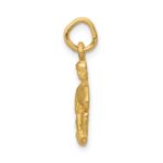 14k Satin Diamond-cut Aquarius Zodiac Charm - Image 2