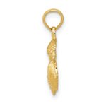 14k Solid Polished Mini Shell Cluster Pendant - Image 2