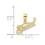 14K Polished and Textured SPECIAL Charm - Image 4