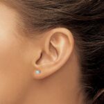 14k White Gold 1/5 carat Lab Grown Diamond VS+ F+ Round Complete Four Prong Screwback Heavyweight Stud Earrings - Image 3