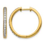 14k 1/3 carat Lab Grown Diamond VS/SI+ G+ Complete Hinged Hoop Earrings