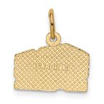 14k Swiss Cheese Charm - Image 3