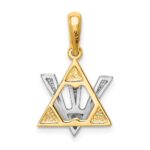 14K Two-tone Star of David with Shin Symbol Charm - Image 4