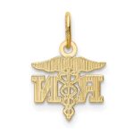 14k Diamond-cut Polished RN Registered Nurse Pendant - Image 3