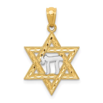14k and White Rhodium Star of David with Chai Pendant